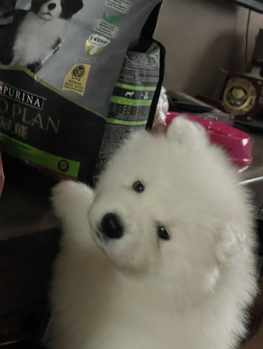 dogonboo's tweet photo. หยิบไม่ถึง หิว https://t.co/0Dmv4LlTOV