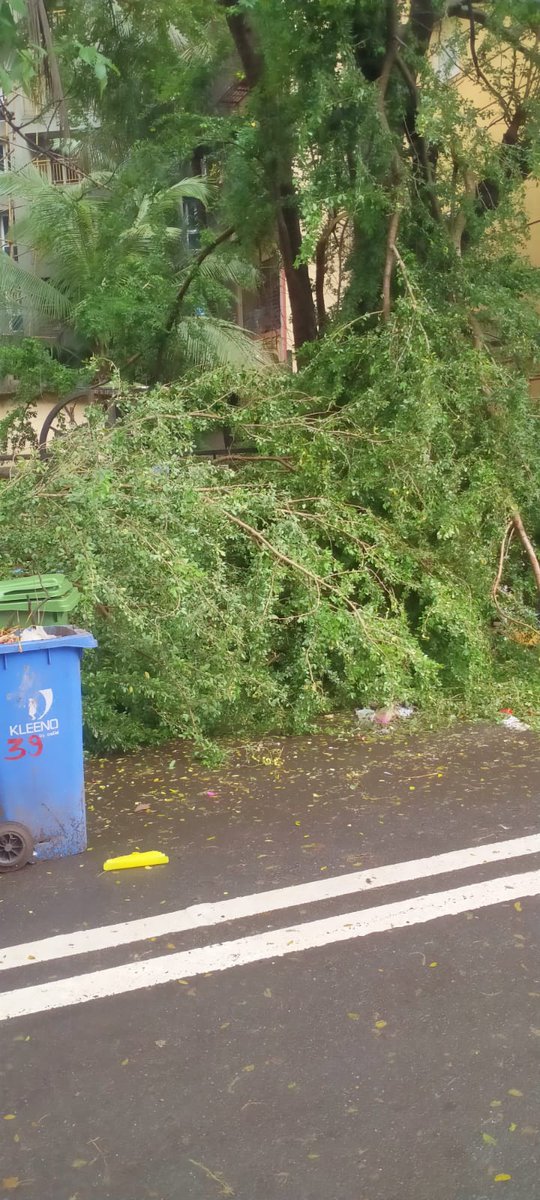 prasad1104's tweet photo. @mybmc @mybmcWardL Tree cutting authority. A branch of tree has fallen down near Nehru Nagar Kurla East, Bldg no 41. Kindly assist in getting it cut and removed 🙏 @mlamangesh https://t.co/jBwSP0TzvW