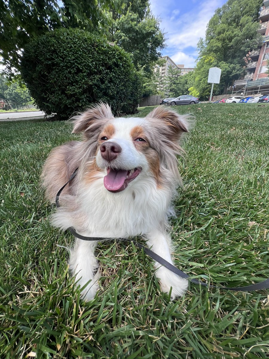 caroline ❤️‍🔥 tweet media