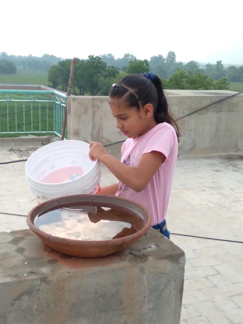 SaintMSGSchool's tweet photo. “We cannot despair of humanity, since we ourselves are human beings.”
— Albert Einstein
#post1 #GuruPurnima
#humanity
#serveothers
#inspiration
#MSGians
#preaching
#schoollife
#kindnessmatters
#helpingothers
#birdfeeding
#wateringplants https://t.co/FQSlWRaa3x