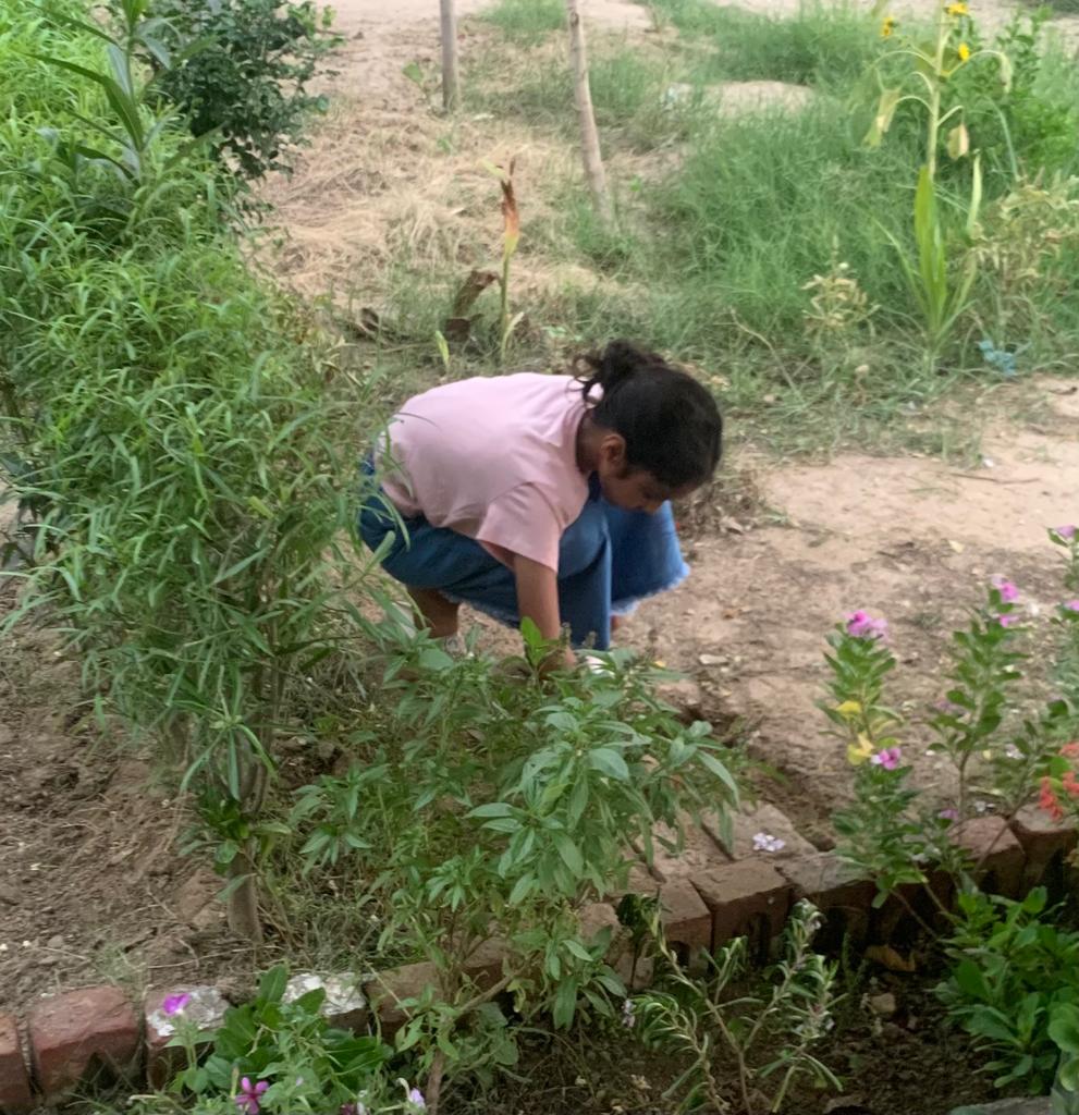 SaintMSGSchool's tweet photo. “We cannot despair of humanity, since we ourselves are human beings.”
— Albert Einstein
#post1 #GuruPurnima
#humanity
#serveothers
#inspiration
#MSGians
#preaching
#schoollife
#kindnessmatters
#helpingothers
#birdfeeding
#wateringplants https://t.co/FQSlWRaa3x
