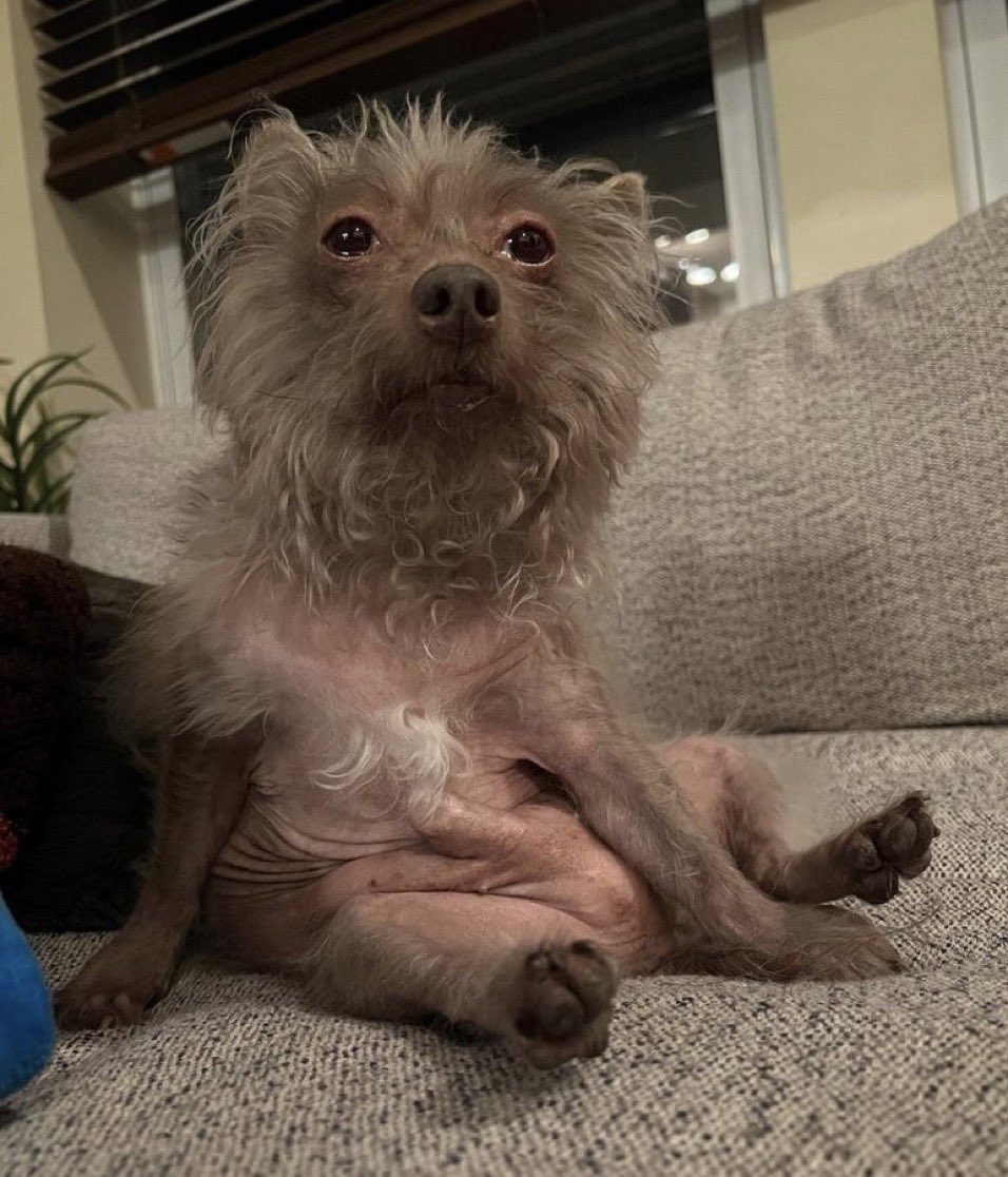 miliondollameat's tweet photo. this how ur friend who wanted to go home 3 hours ago be looking at u https://t.co/ITX32lp2Bb