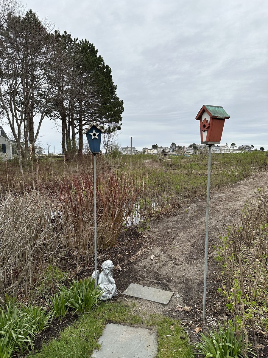 Hal Hannaford tweet media