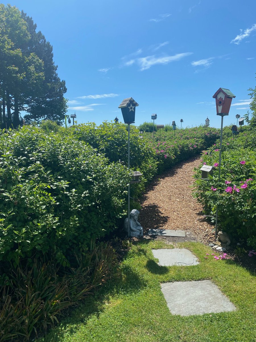 Hal Hannaford tweet media