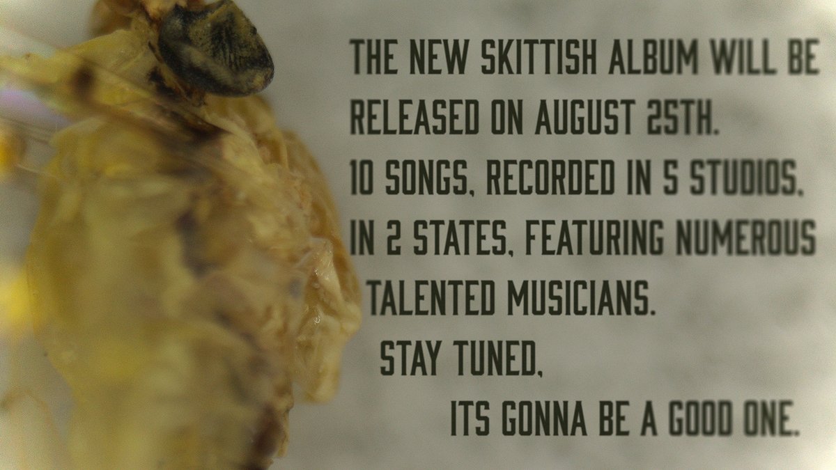 Skittish (@iamskittish) on Twitter photo 