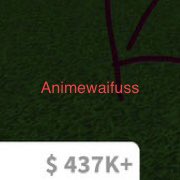 ANIMEWAIFUSS's tweet photo. ☺️ #bloxburg https://t.co/kKLMIlknLP