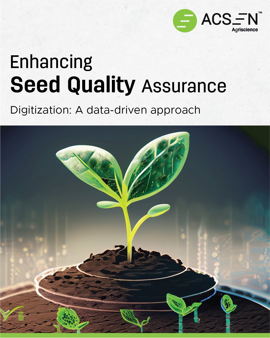 II. Importance of Seed Quality and Productivity