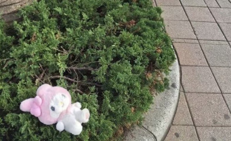 ♪⃣ 𓈒 ݁ 𓏲𝄢 tweet media