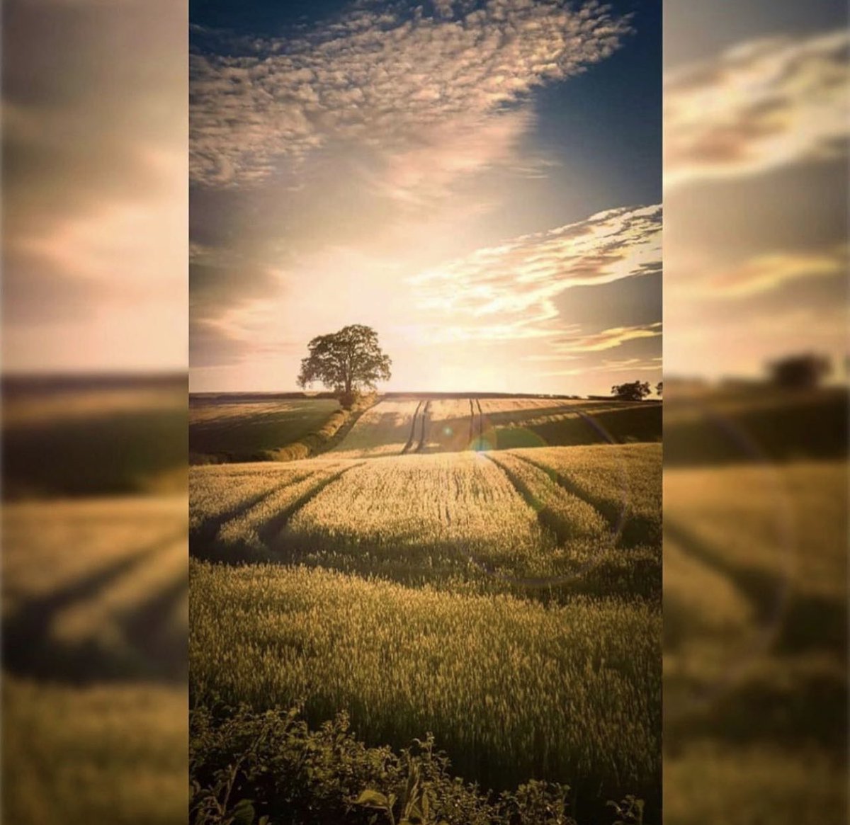 Good Morning.  #Monday #sunrise #countryside #jessopsmoment #photography @StormHour @WeatherNation @Joeynoble @bbcmtd