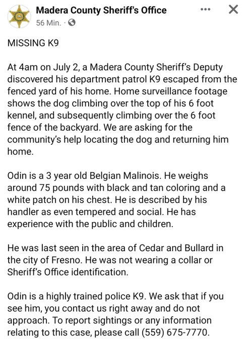 Kimberly tweet media