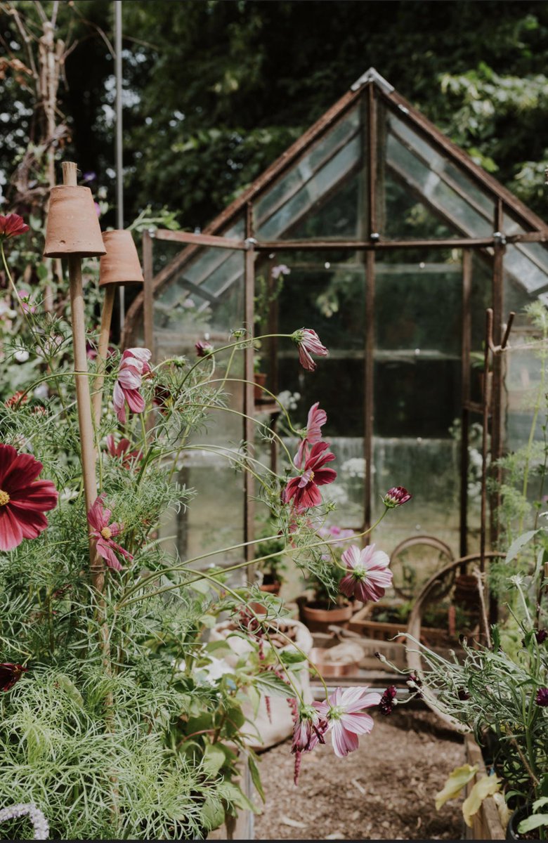 juliewoodford tweet media