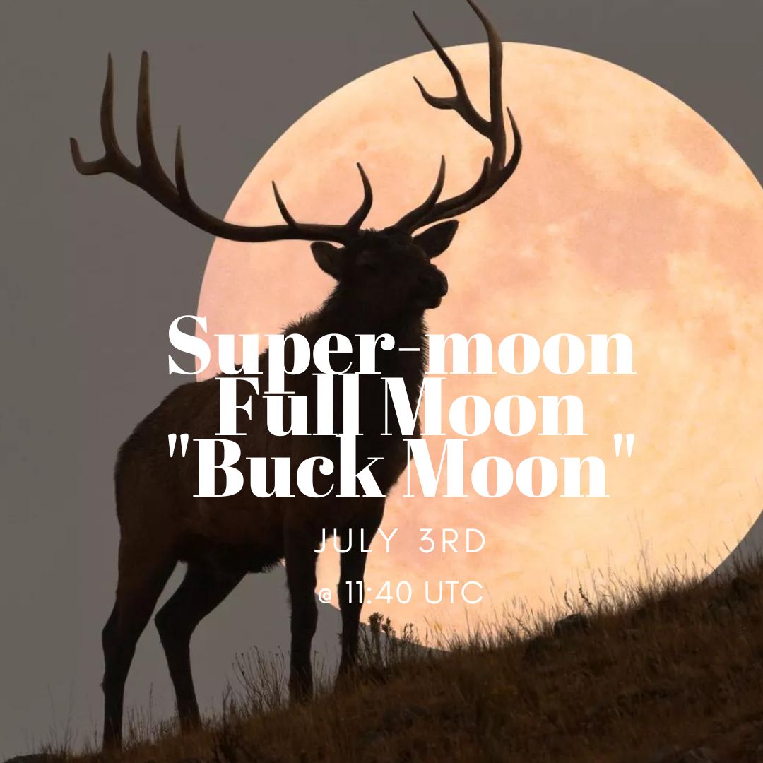The Buck moon: The Native Americans named the July moon the Buck moon due to Buck in North America growing their antlers back (also called the thunder moon due to the number of storms in July, and the hay moon) #learnthesky #keeplookingup🔭 #moon #stars #stargazing
