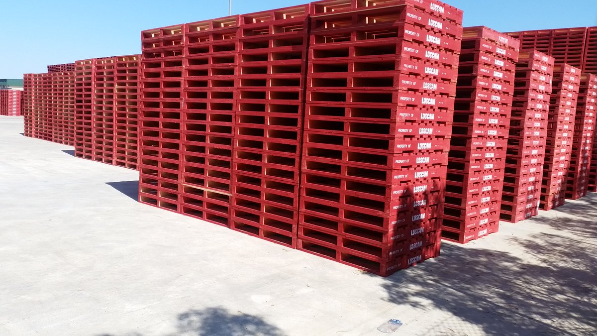 Eyes here: Loscam Pallets Available

📍Manufactured at our cutting-edge Shepparton Site, we take pride in crafting the finest pallet solutions. With 20+ years as a trusted Loscam agent, we guarantee excellence.

📞 Call 1800 360 039 to elevate your logistics game today!