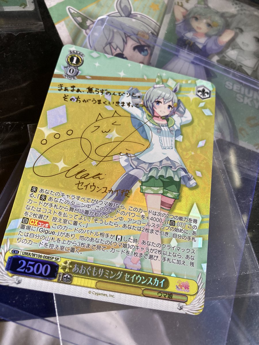 売れ筋がひ新作! セイウンスカイ SP aaramrodrigues.com.br