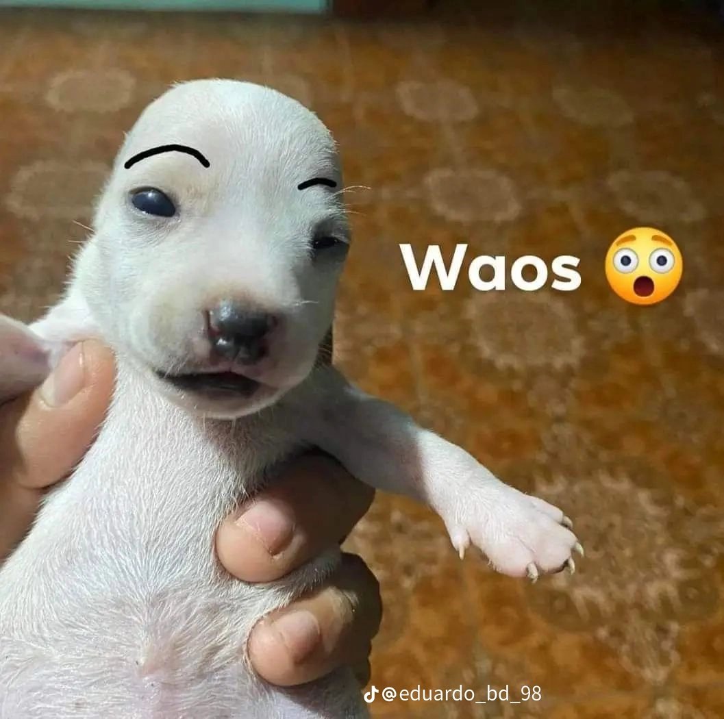 FlorTlaseca07's tweet photo. Ayudaaaaaaa, no puedo dormir :( https://t.co/T348Afjzsq