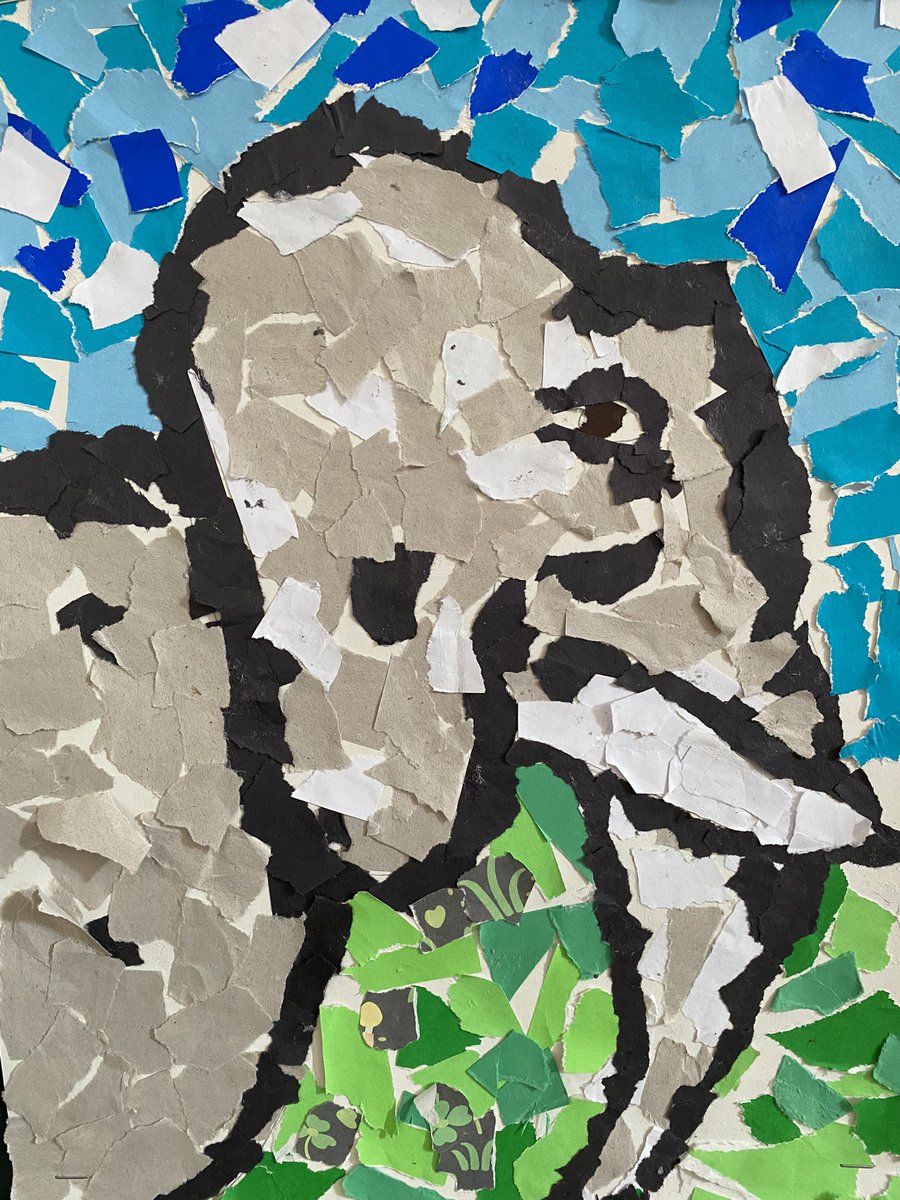 Glebe Primary School tweet media