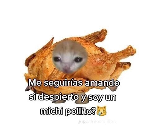 FlorTlaseca07's tweet photo. ? https://t.co/BtInfSEYN1