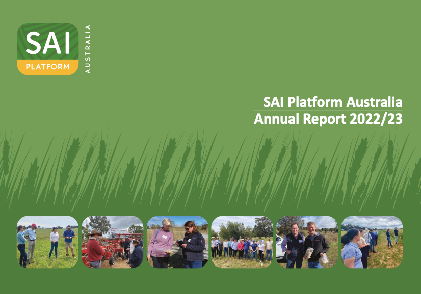 SAI Platform Australia tweet media