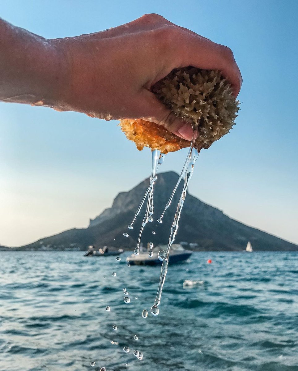 Visitkalymnos's tweet photo. Natural #sponges are one of the best and most famous products of #Kalymnos #Island…

https://t.co/khHXhQQYTs

📷 : Natalia (https://t.co/hZfhaQrvir)

#visitkalymnos #visitkalymnosisland #kalymnosisland #visitgreece #Greece #gastronomy #villages #diving #hiking #kalymnosclimbing https://t.co/33SCJqeEC3