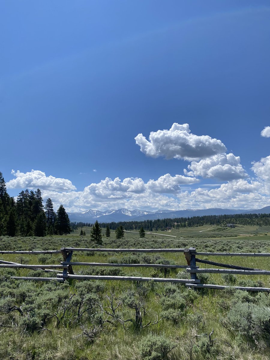 Jamey Trotter tweet media