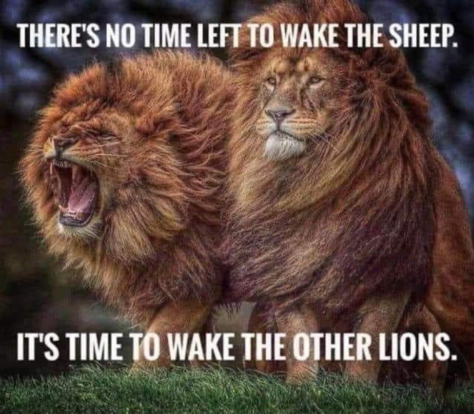 michaelgabbert's tweet photo. @clownworld https://t.co/LGJEGOo9fn