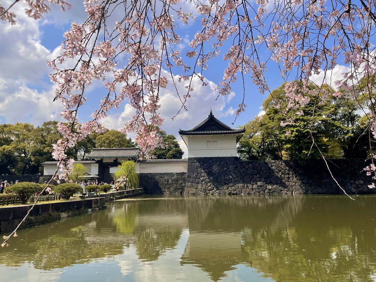 jobeetweets's tweet photo. Cheers to Monday blues!
#Mondayblues #asia #japanthrowback https://t.co/2VQ107IVUN