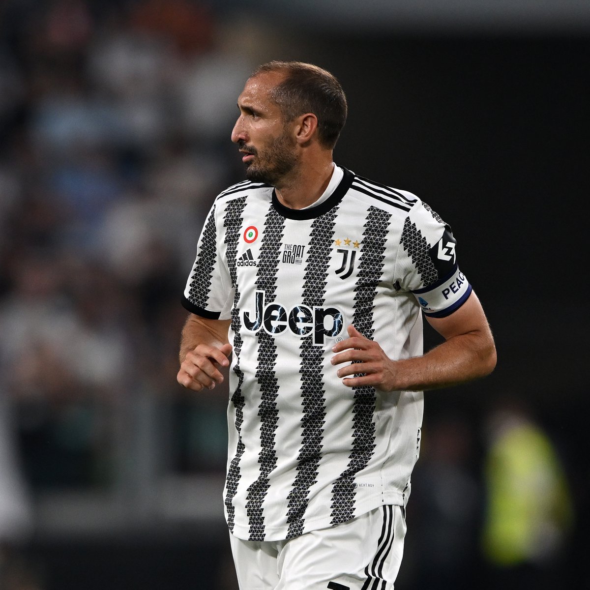 Menurut kalian, siapa bek 𝘁𝗲𝗿𝗯𝗮𝗶𝗸 Juve sepanjang masa? 🤔

Yuk diskusikan! ✍️⤵️