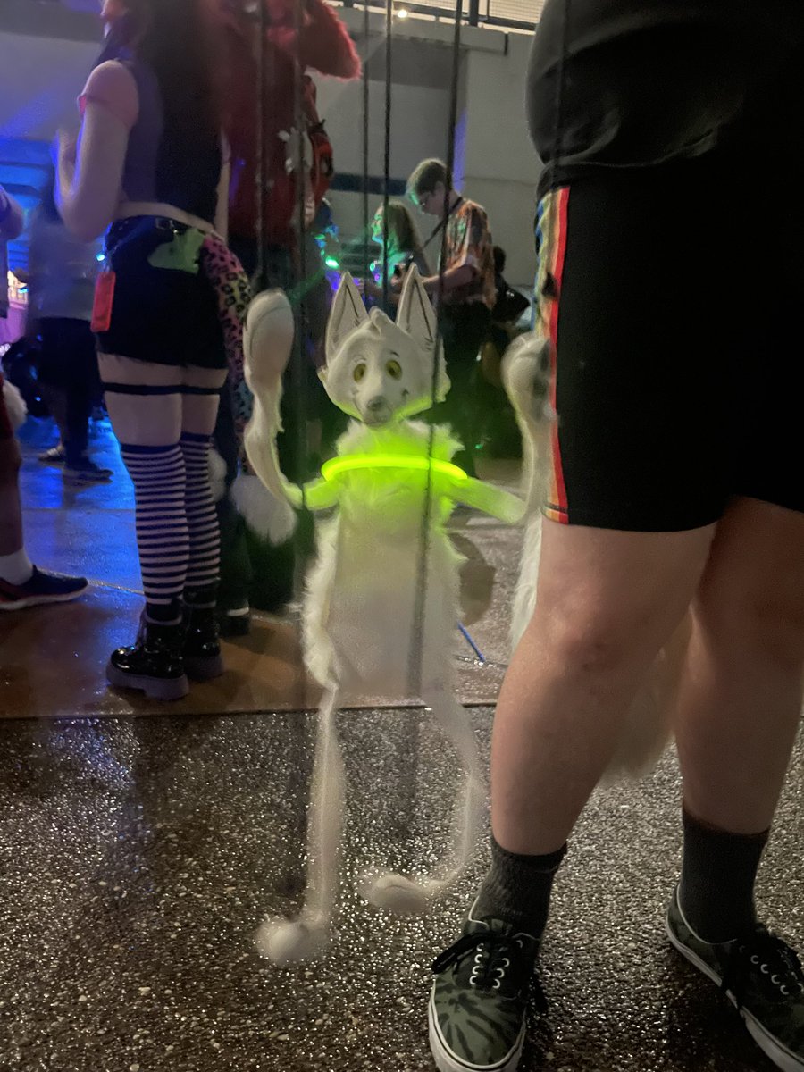 JonesDestroyer's tweet photo. Got to meet the awesome lil fella! 

Thank you for making my night, @TheHearthFox https://t.co/xmmdS5abVU