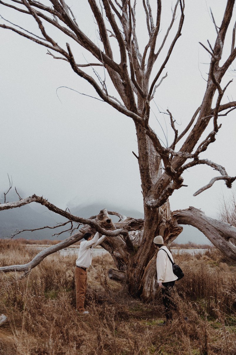 ThatAngMoh's tweet image. Took some photos today