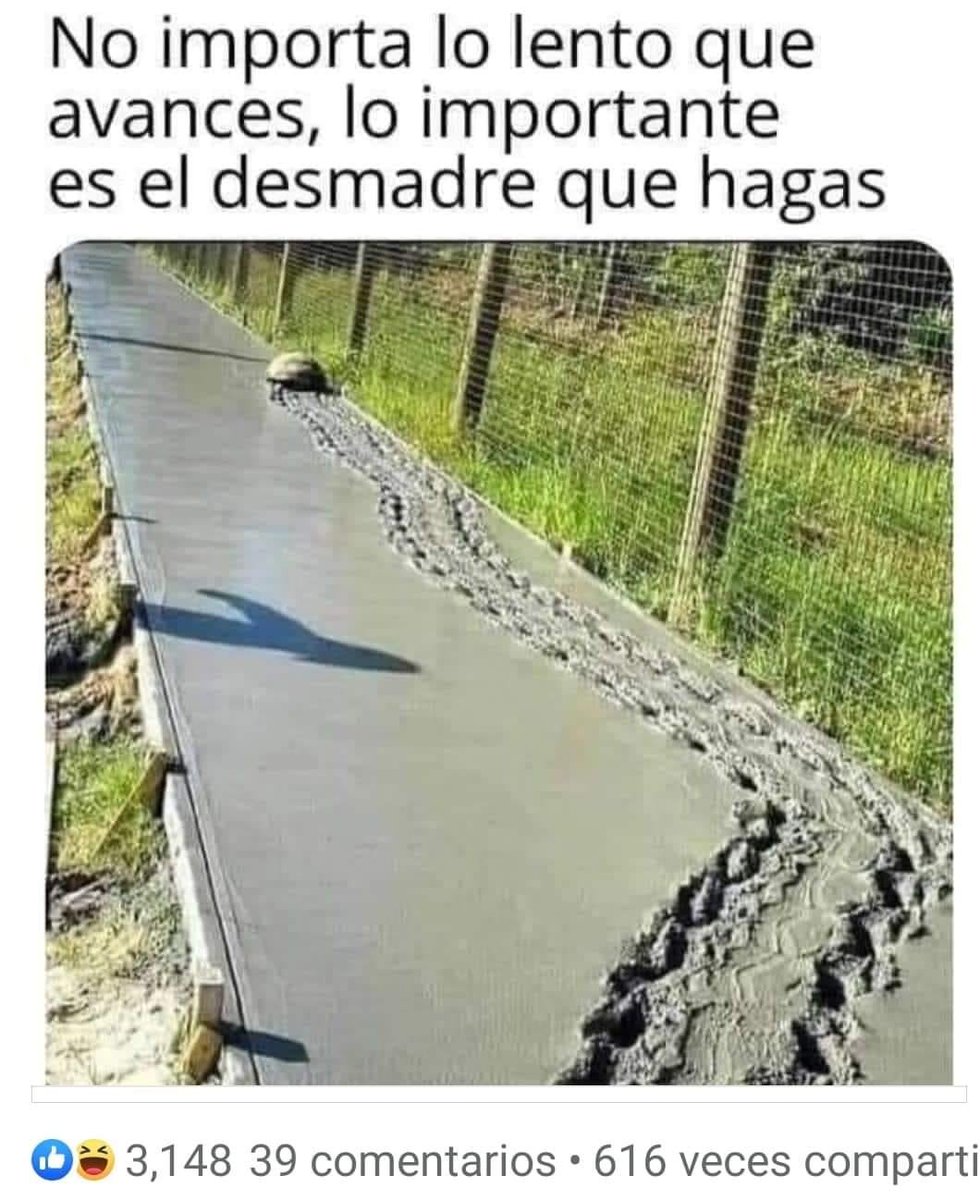 Polymorado's tweet photo. Cuiden sus demadres https://t.co/dbxHySFWP7