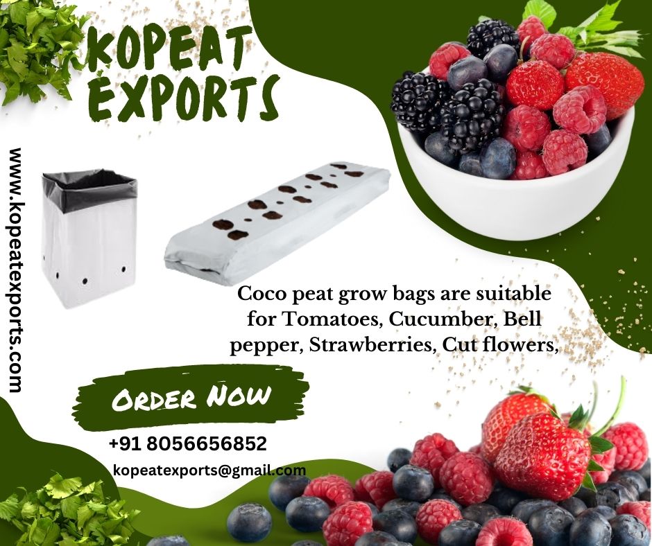 KopeatExports's tweet image. A cocopeat grow bag is a long, narrow bag made from a special type of cocopeat =
Our contact info:
Website:--www.kopeatexports.com
E-mail:
kopeatexports@gmail.com

Whatsapp:
+91 8056656852
#tanahabangfashion #fashiongrosirsingapore #exportdata #importers #internationaltrade