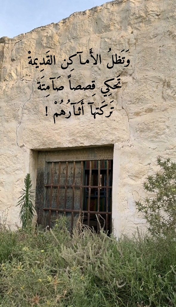 rofy521's tweet photo. صباح الخـير🌼🍃 https://t.co/RKcbej06FW