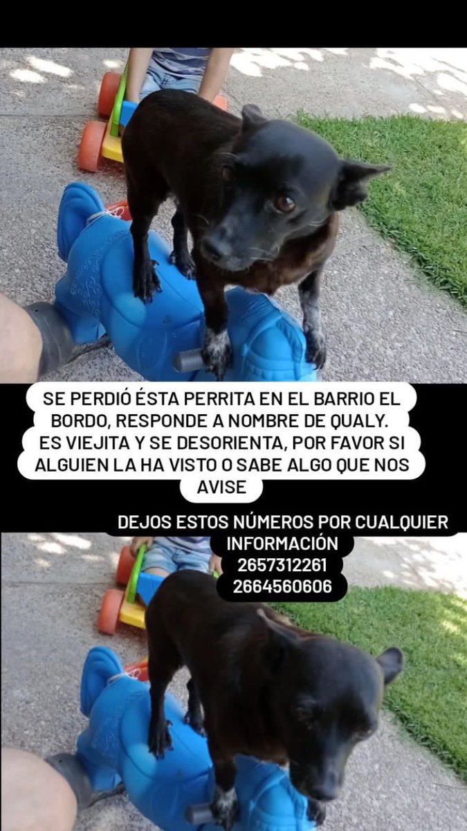 Se agradece cualquier información, la necesitamos de vuelta en casa 😔