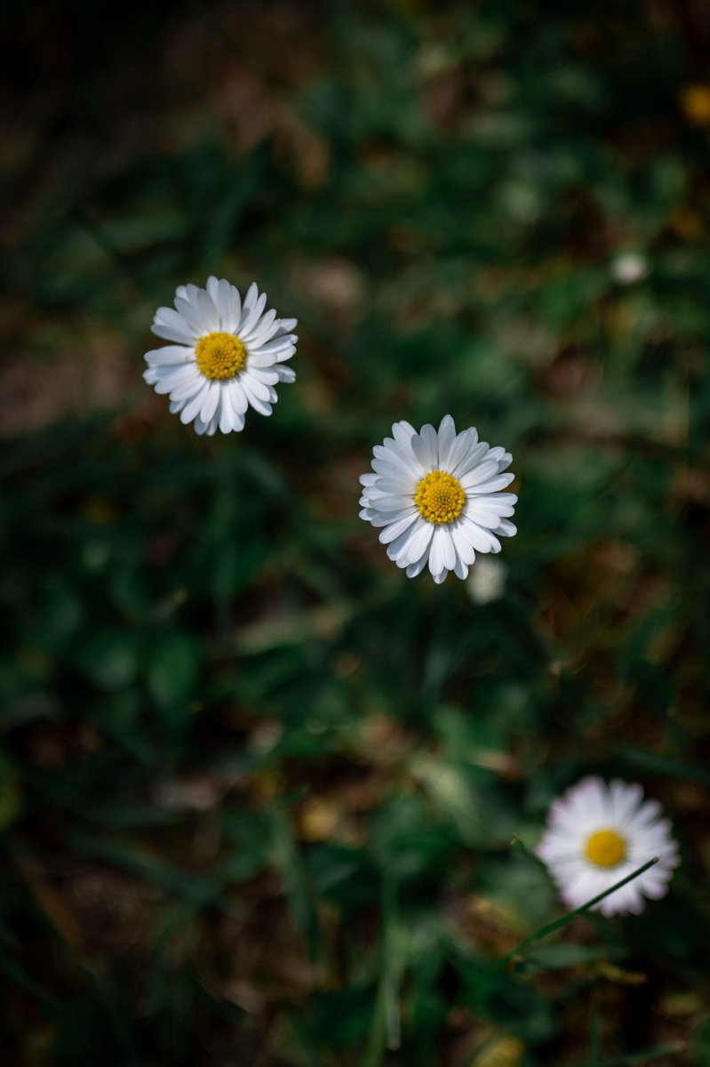 In Beeld Bij Nathalie tweet media