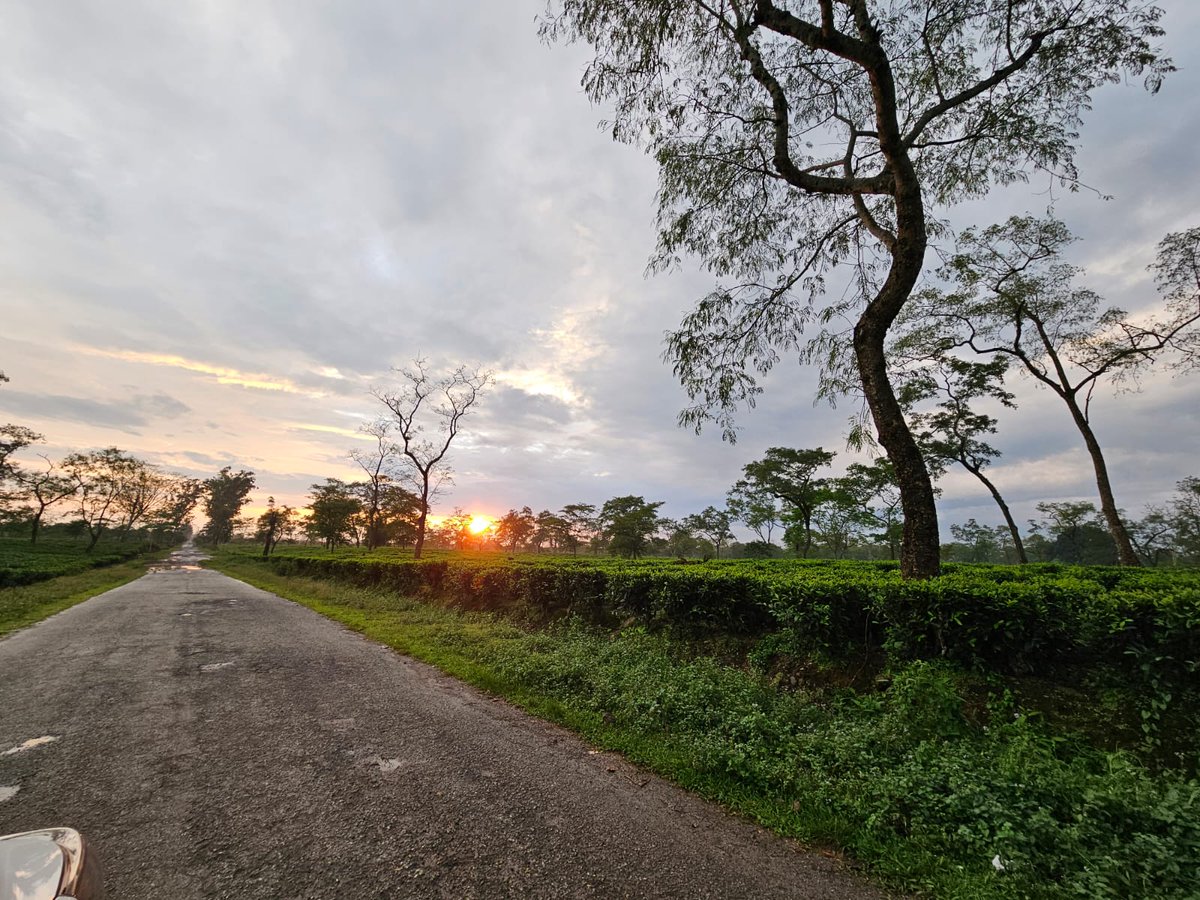 Magnificent Margherita! Lord Curzon steps were apparently used by Curzon to reach a Tea garden Bungalow-Hill Villa. This bungalow should be preserved as a museum. History is so beautifully intertwined with the subdivision of Margherita. Will post about a few interesting bits soon