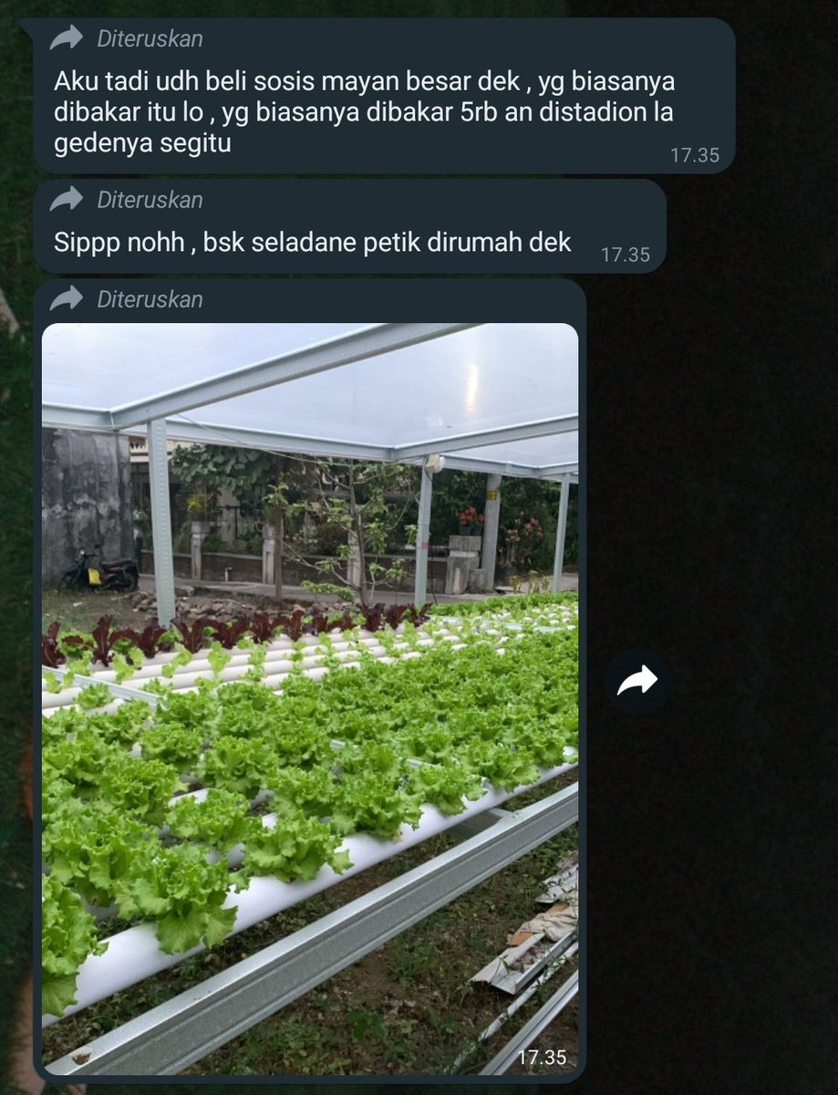 sonya tweet media