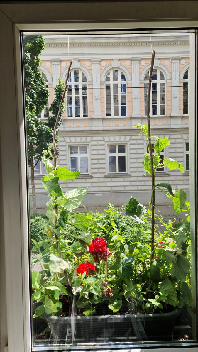 Günaydın herkese