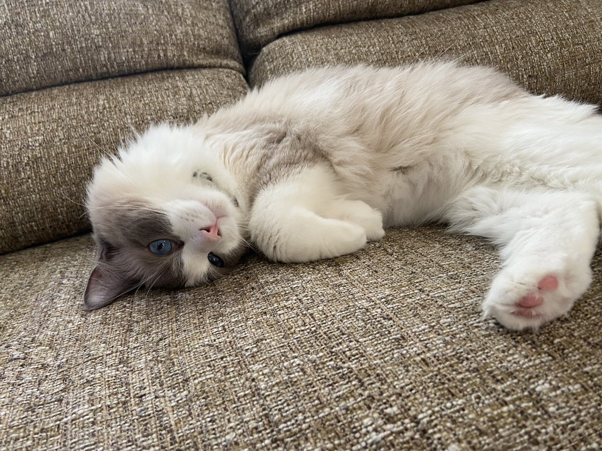 HAPPY BIRTHDAY!!!1th!

おめでとうぽんちゃん🎉👏