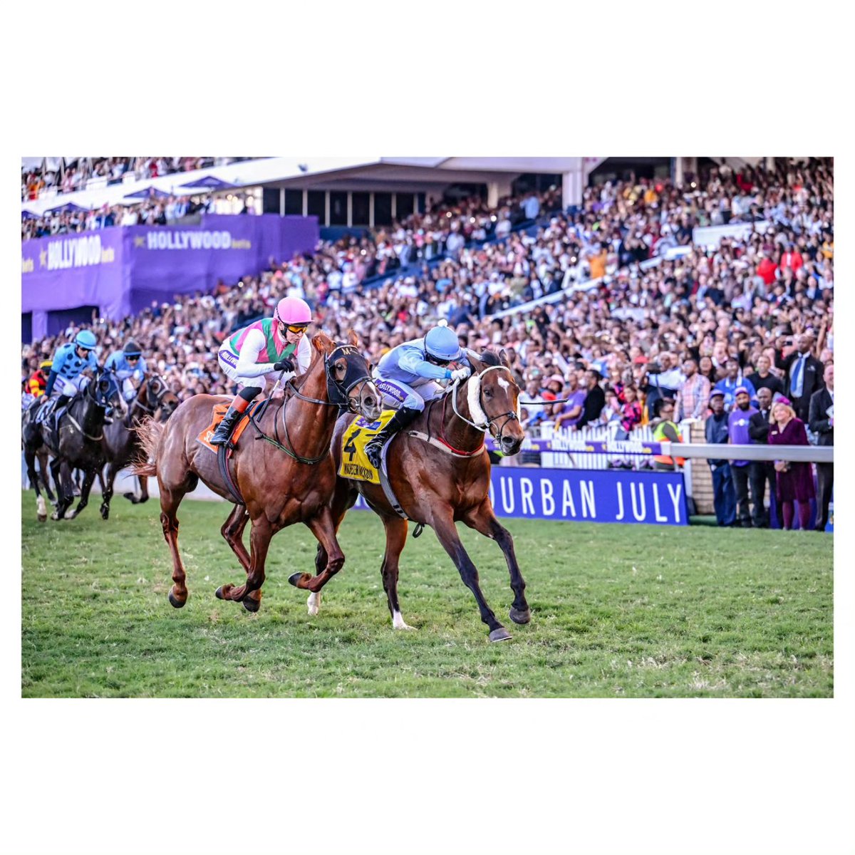 ChaseLiebenberg's tweet photo. #WinchesterMansion fought off #SeeItAgain well being watched by a jam-packed crowd at #HWBGreyville. Drakenstein Stud are the proud breeders of the first two past the post. Congrats, @Kabelo735 and @bcrawfordracing & @DrakensteinStud one incredible victory in the #HDJ2023 https://t.co/2tOT9WrocR