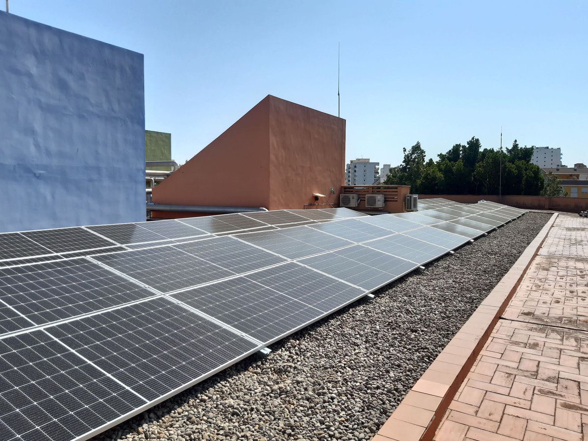 Débora Domingo-Calabuig tweet media