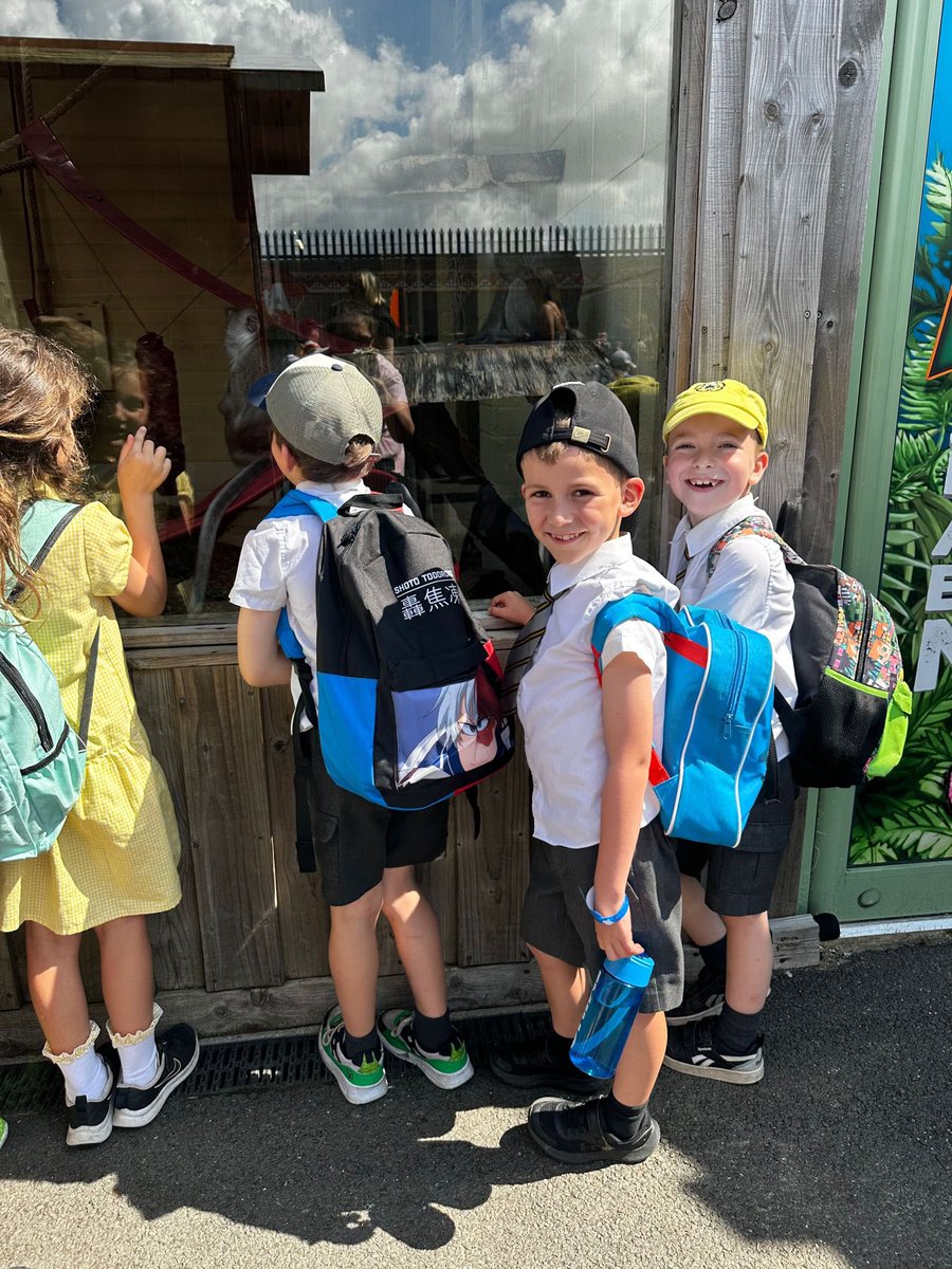 Otters having fun seeing otters! Trip to <a href="/SealifeAdv/">Sealife Adventure</a> #fun #classtrip #coach #Southend