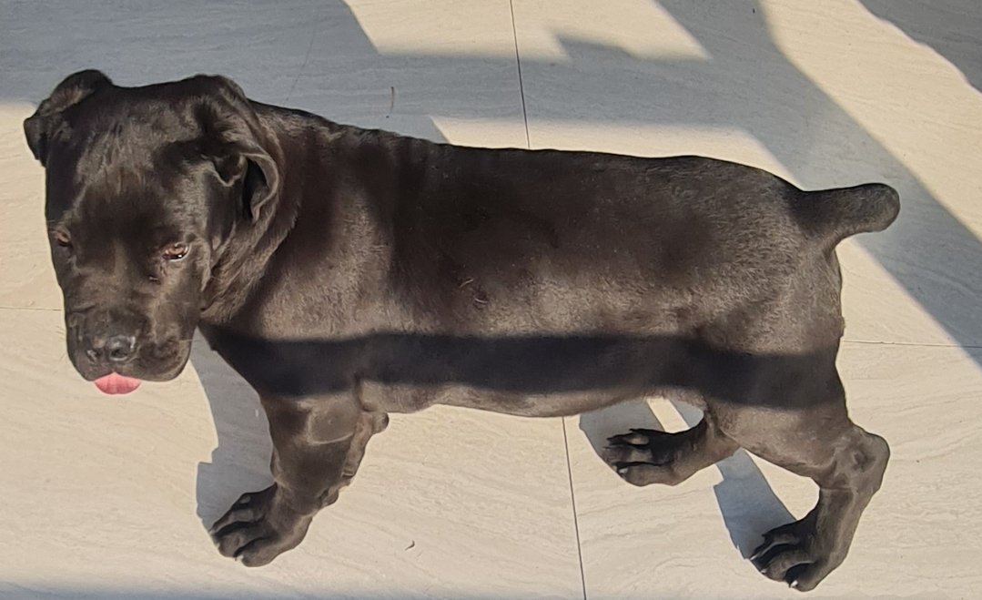 We are 4 Months and getting bigger each day