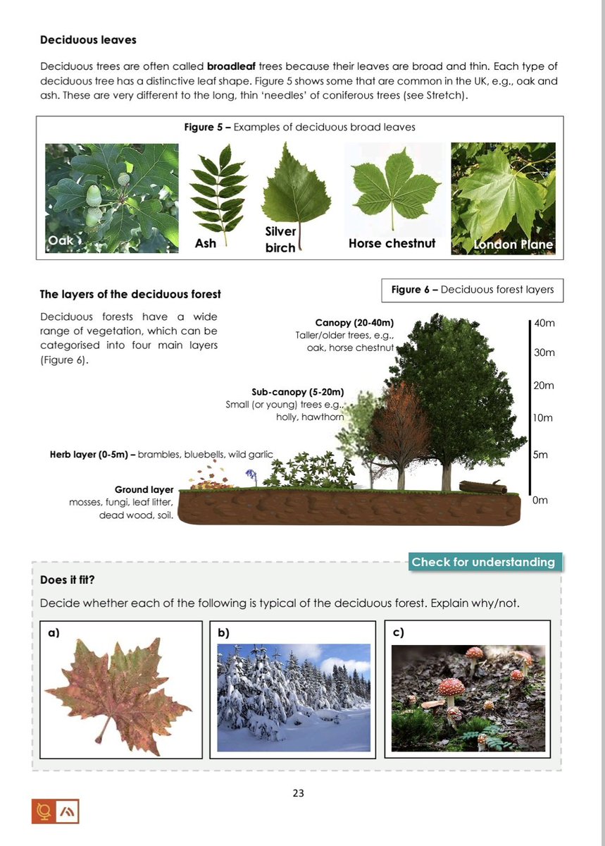 hannahsassoon's tweet photo. *New KS3 🌎Geography Curriculum + 🎓CPD suite* - available now 🌟

📚Booklets, slides, quizzes, assessments, and teacher guidance notes. 💚 Designed in partnership with Ark teachers.  

⏬️ Download the sample pack. https://t.co/UVSM4hkfH7 https://t.co/nB4zd9kvMC