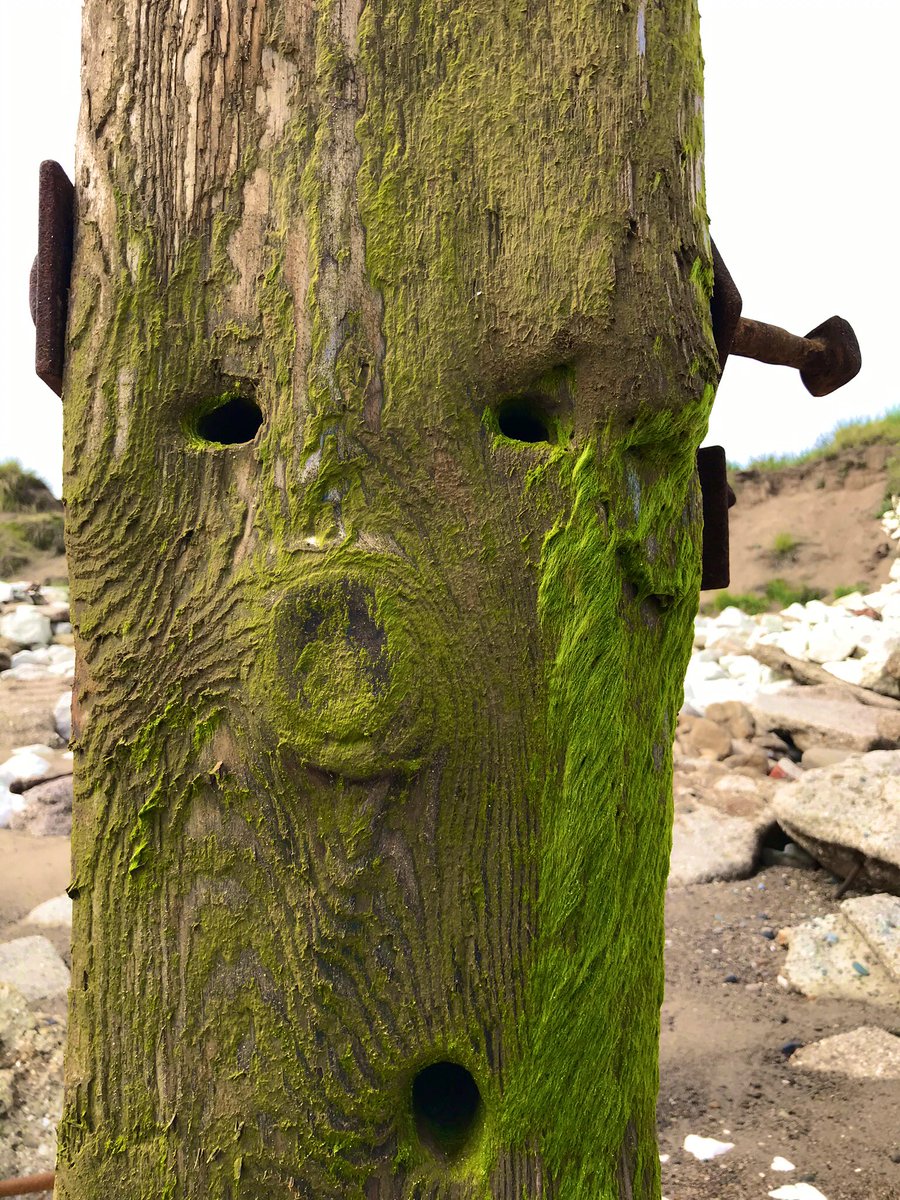 PoetDeanwilson6's tweet image. Beach Finds #184
#Spurn