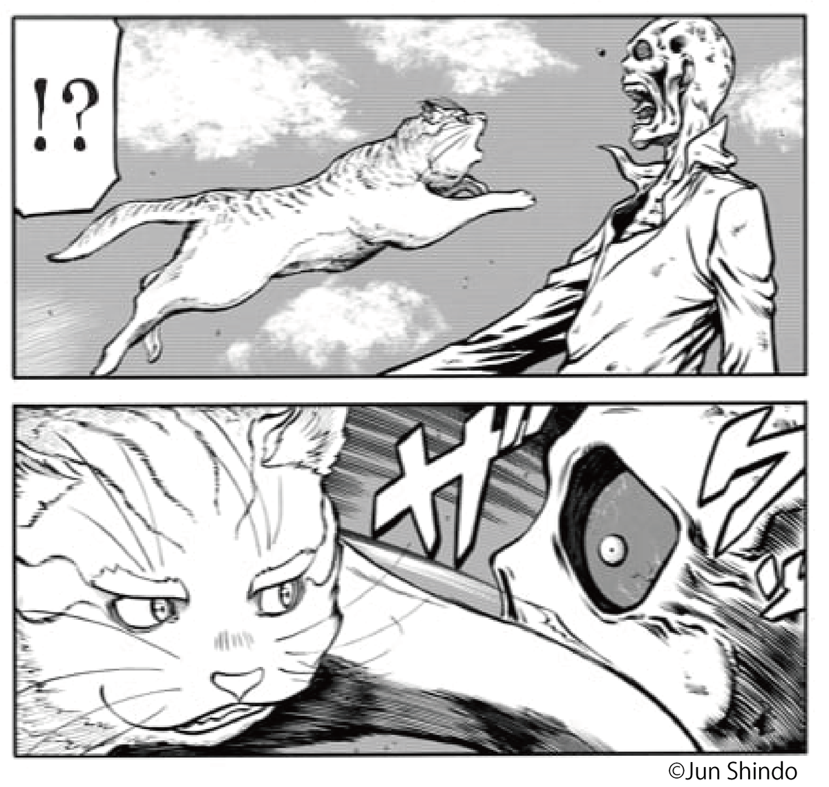 猫、強し!!いけー!!

無料話更新!
#rights
#月マガ基地
📚https://t.co/i5Emw2ehnU 