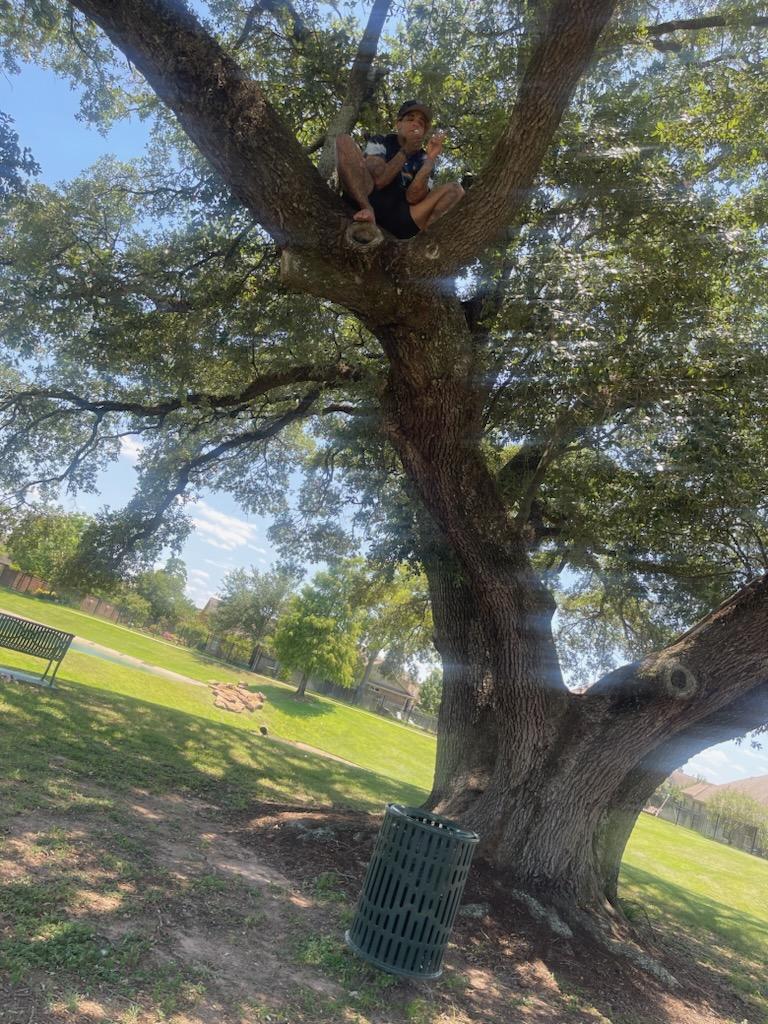 Tree of life #freethecogic