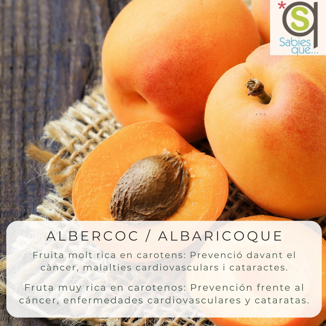 Sabiesque's tweet photo. Los albaricoques son una excelente fuente de vitamina A, un nutriente esencial para la salud de la piel, la visión y el sistema inmunológico. Además de ser ricos en fibra y carotenos.

Síguenos en instagram @sabiesque https://t.co/LEkDF6CXie