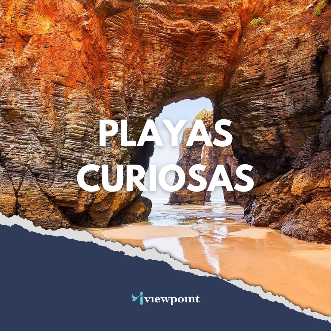 iviewpoint tweet media