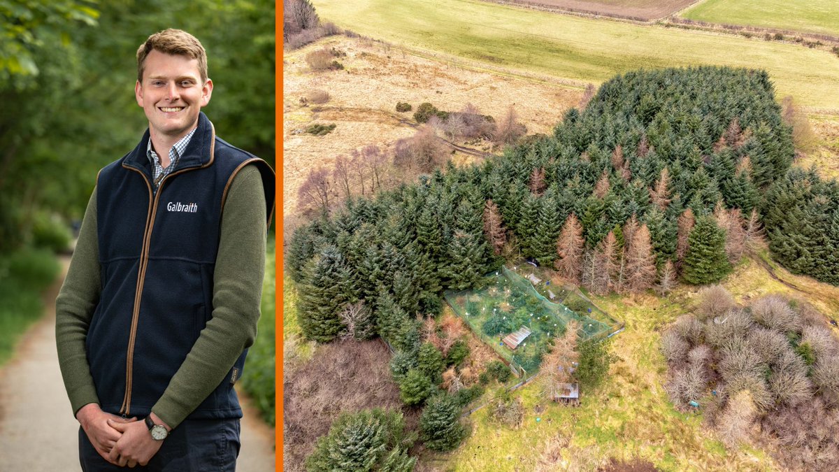News🕧 | Former pheasant shoot for sale in rural Aberdeenshire

Hear from Ian Armstrong, who is handling the sale of 𝗕𝘂𝗿𝗿𝗲𝗹𝗱𝗮𝗹𝗲 𝗠𝗼𝘀𝘀 near Inverurie, Aberdeenshire 👇

📲 loom.ly/LNlPlBc

#Galbraith | #ForSale | #LandForSale | #Aberdeenshire | <a href="/Galbraith_ABD/">Galbraith_ABD</a>