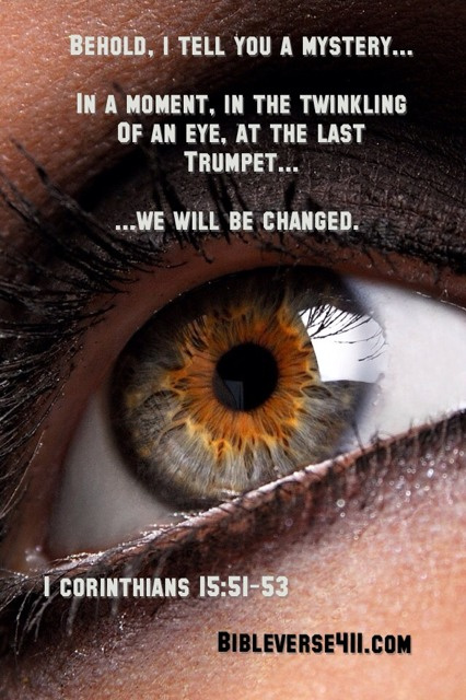 ledrew tweet picture
